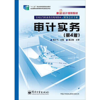 審計(jì)實(shí)務(wù)