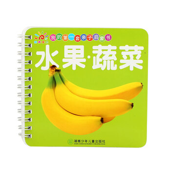 啟蒙早教書(shū)