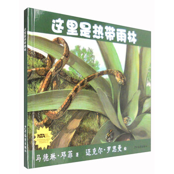 熱帶雨林
