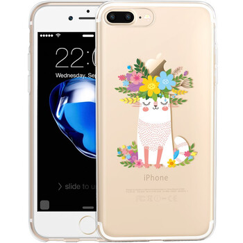 花貓?zhí)O果殼