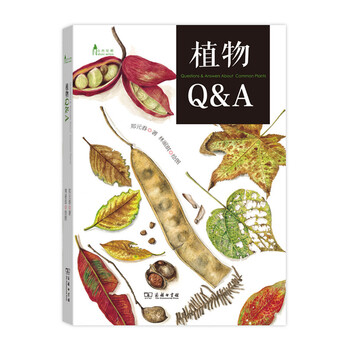 q a
