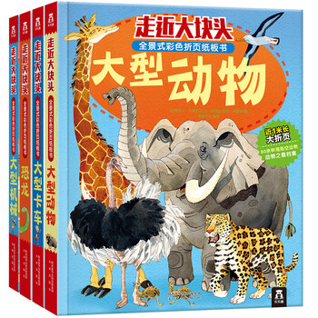 紙板書(shū)