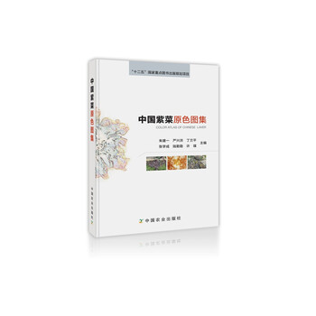 紫菜