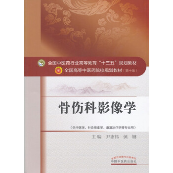 十三五