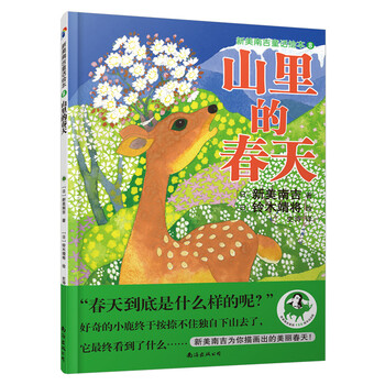 風(fēng)箏