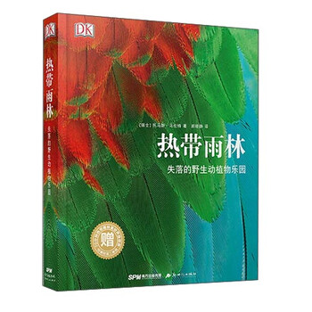 熱帶雨林