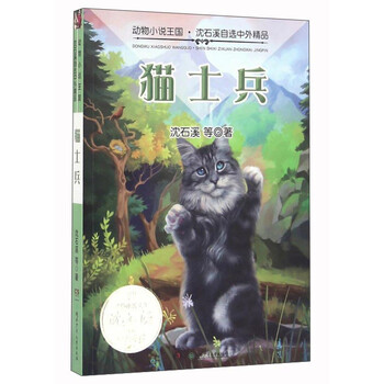 貓動物