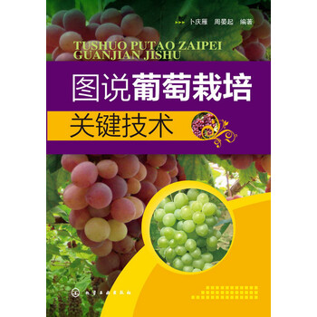 葡萄栽培