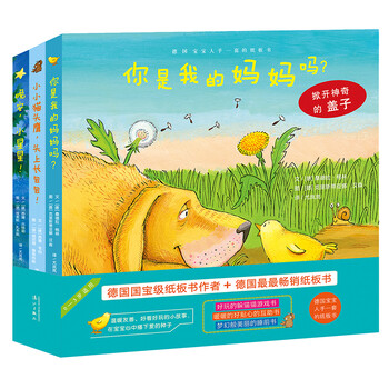 紙板書(shū)