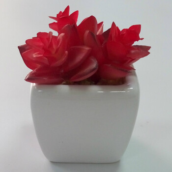 精致花瓶，提升客廳藝術(shù)感
