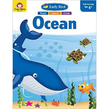 ocean