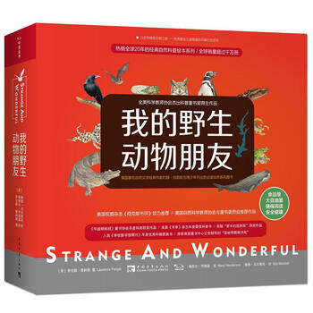 動(dòng)物套裝