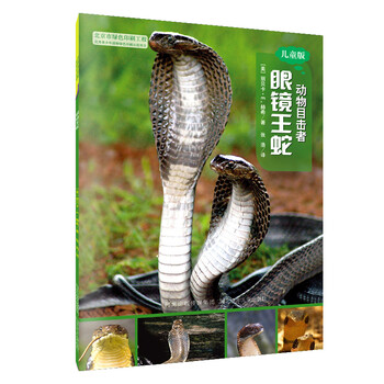 眼鏡兒童