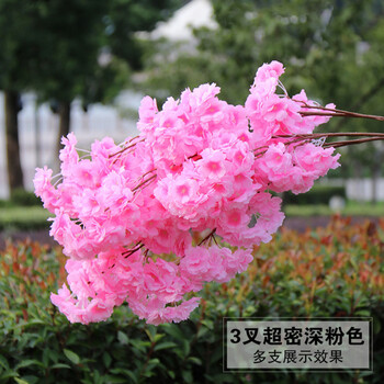 塑料,怎么樣,塑料,梨花,梨花