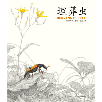科學(xué)繪本