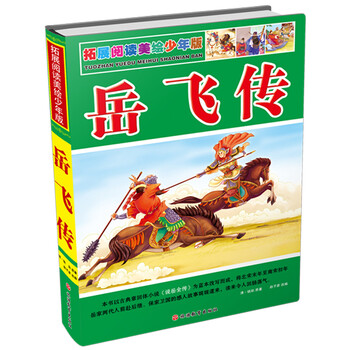 岳飛傳