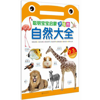 寶寶啟蒙掛圖