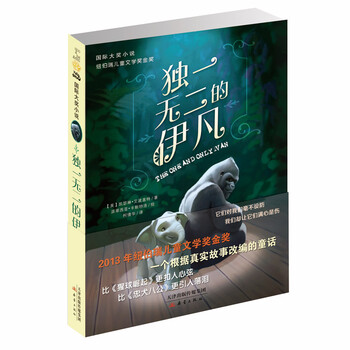國際大獎小說