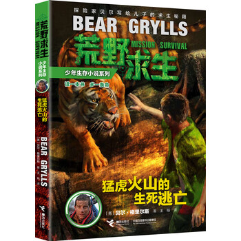 少年小說