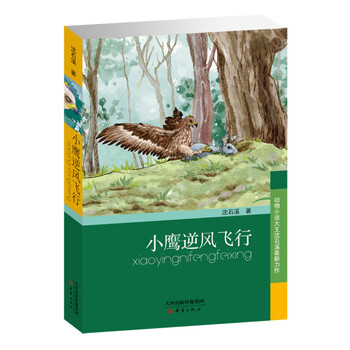 小鷹逆風(fēng)飛行
