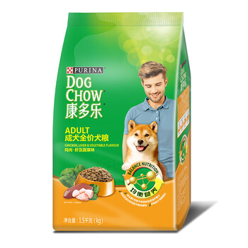 泰迪寵物犬