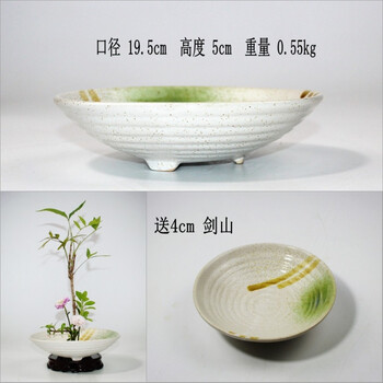 精美生態(tài)花瓶，讓你的家煥然一新