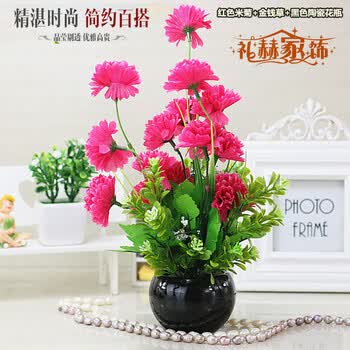 �Ҿ�,�Ҿ�,��ô��,ֲ��,ֲ��,����,����