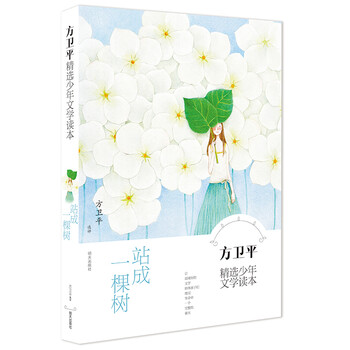 少年文學(xué)