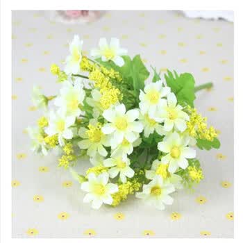 �Ϸ�,�Ϸ�,��ƿ,����,���а�,����,����,��ƿ,�Ƽ�