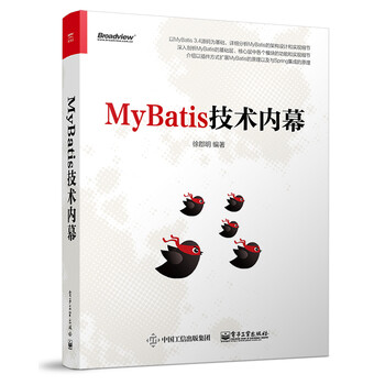 mybatis技術(shù)內(nèi)幕