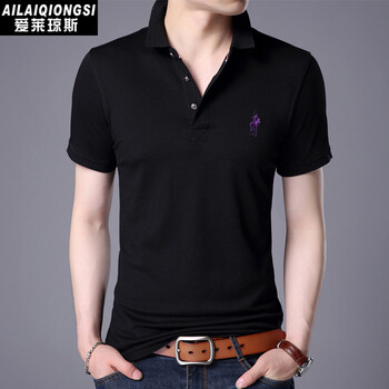 愛(ài)萊瓊斯（AILAIQIONGSI） 短袖 男士T恤 黑色 L