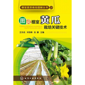 蔬菜黃瓜