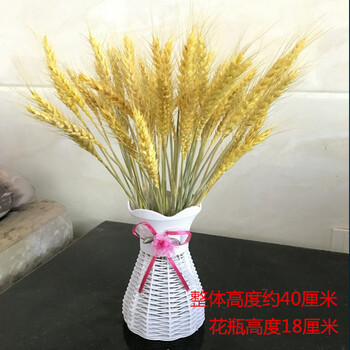 櫻花桃花