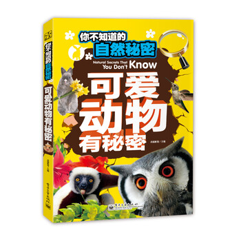 可愛動(dòng)物