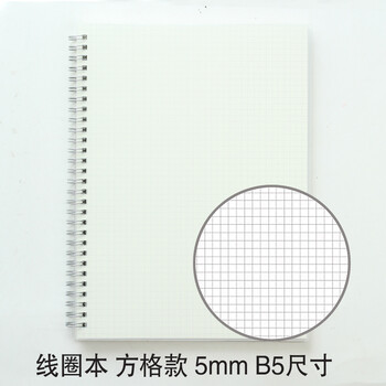 5mm格子本