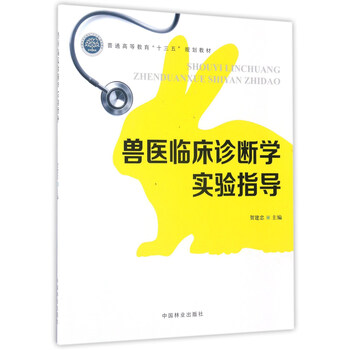十三五