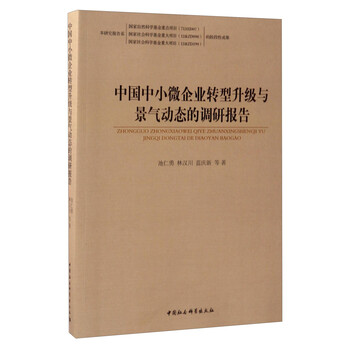 中國企業(yè)