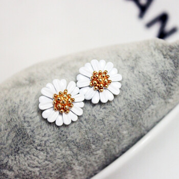 怎么樣,菊花,菊花