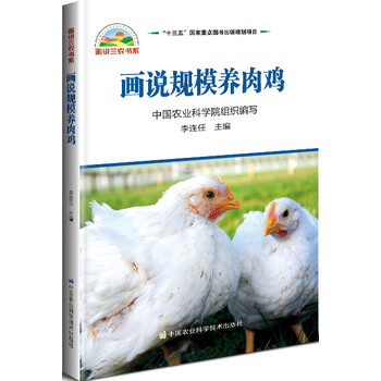 肉雞