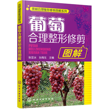 果樹(shù)修剪