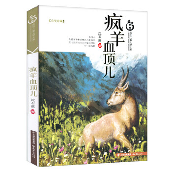 中國(guó)兒童文學(xué)
