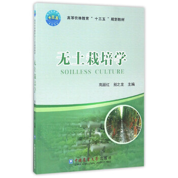 十三五
