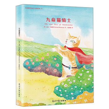 成長(zhǎng)小說(shuō)