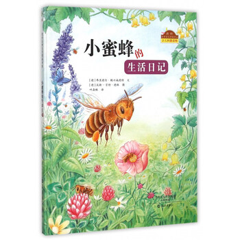 小蜜蜂