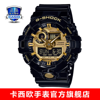 casio710