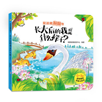 我是什么