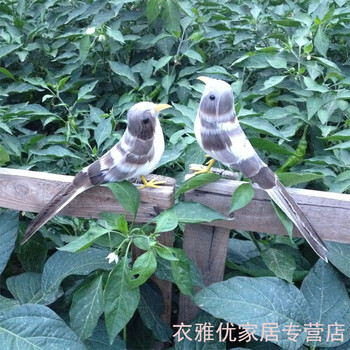 教學(xué)道具