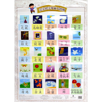 寶寶掛圖