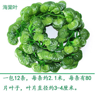 精致唯美花瓶，營(yíng)造浪漫的田園風(fēng)