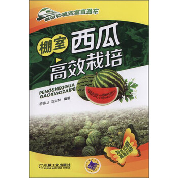 西瓜